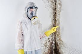 Sand Springs, OK Mold Prevention & Removal  Company